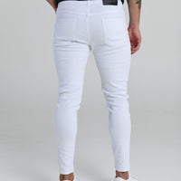 MAYFAIR CLASSIC (En Blanc)